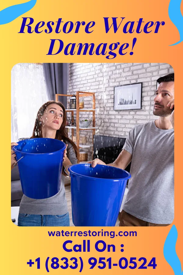 water restoration Platinum Water Cleanup Specialists Ham Lake