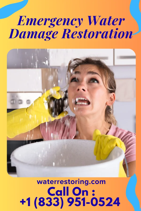 Emergency Water Damage Restoration in Ham Lake, MN