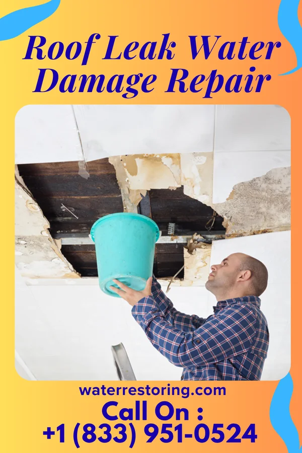 Roof Leak Water Damage Repair in Ham Lake, MN